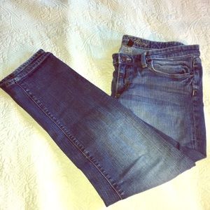 Gap Premium Skinny Jeans